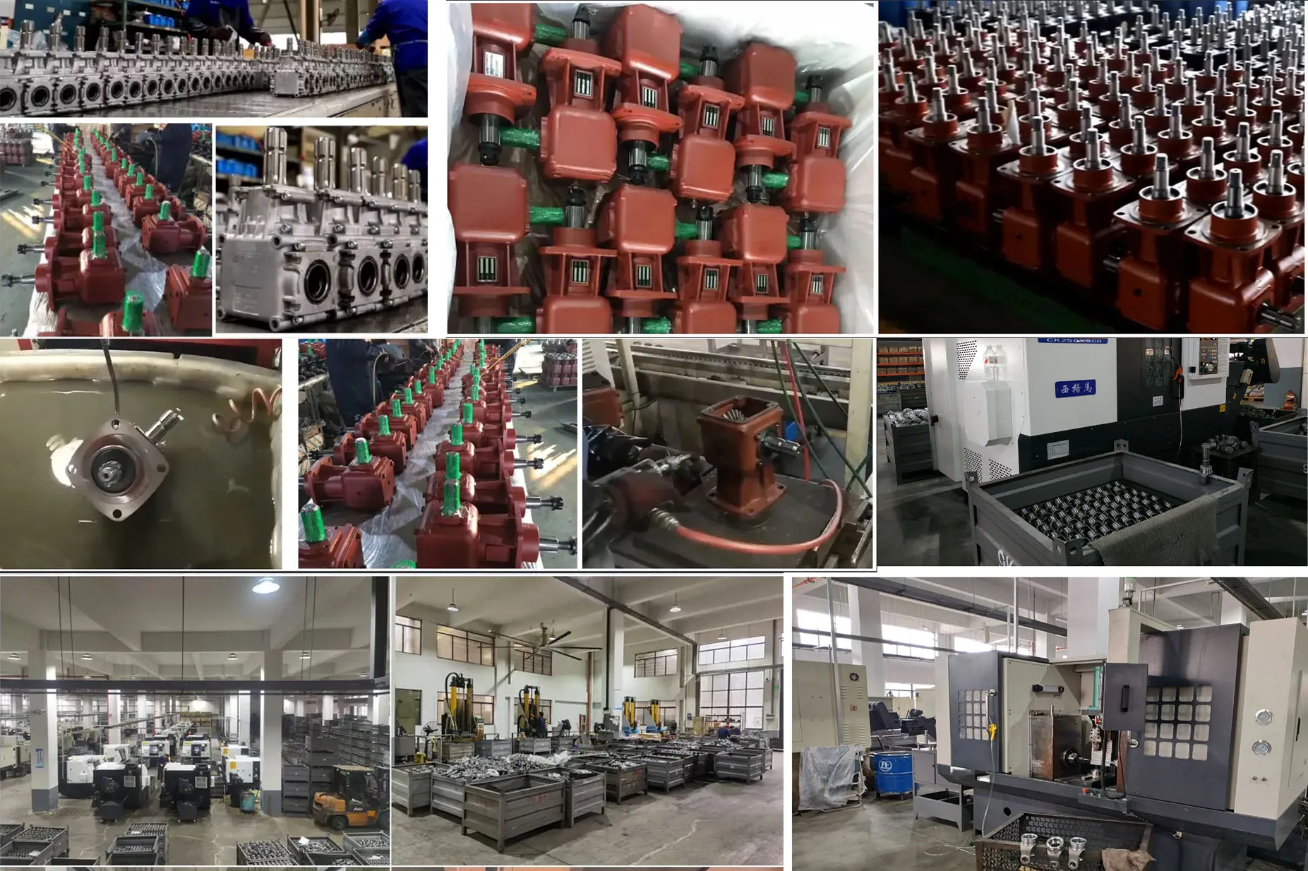 EVER-POWER Gearbox Factory
